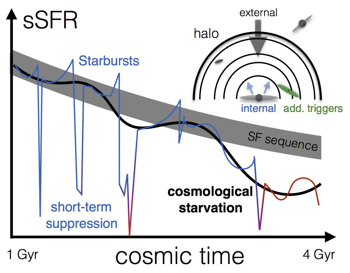 Specific star formation rate vs cosmic time